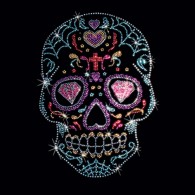 Rhinestone Spider Web Skull